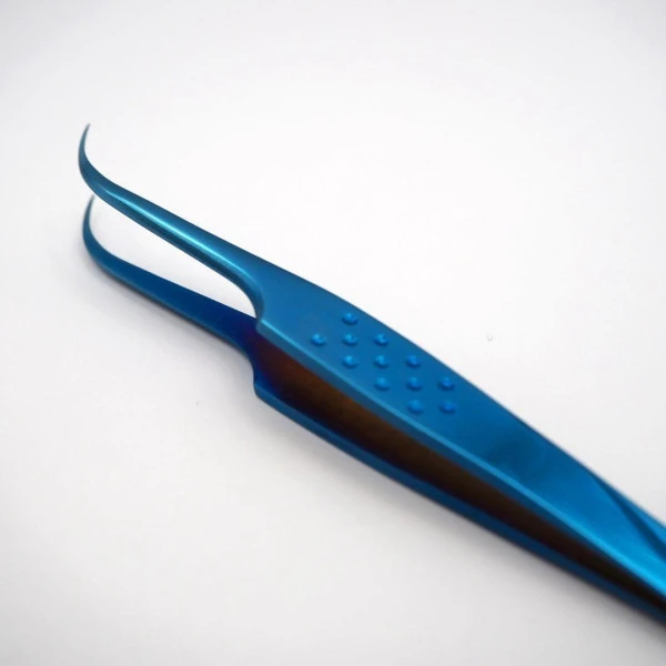 Pince Courbée Femme De Caractère 2 Pince Courbée Femme De Caractère – Image 2